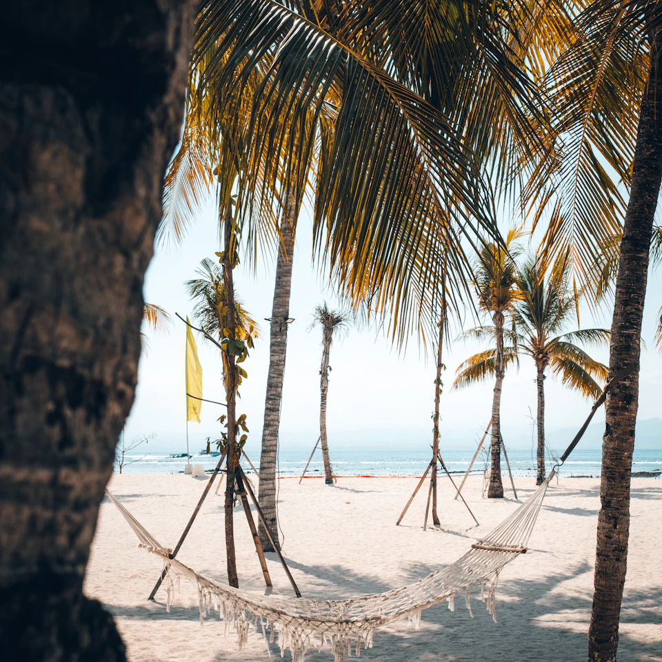 A hammock between palm trees on a sunny bright tropical beach in clear daylight